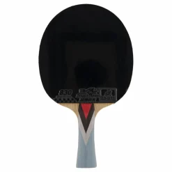 4a+ Table Tennis Racket