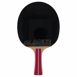 2a+ Table Tennis Racket