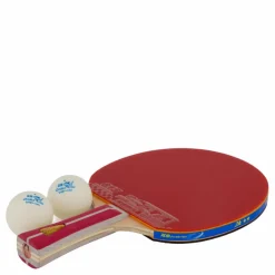 2a+ Table Tennis Racket