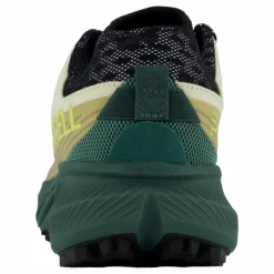 Agility Peak 5 Beach