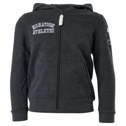 Alpha Full Zip Hood Grey