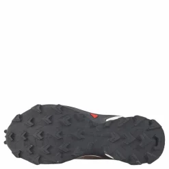 Alphacross 4 Gtx W Ashes Of Roses/white/ebony