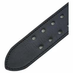 Bb Lifting Belt Black