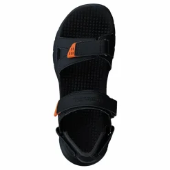 Cedrus Convert 3 Black