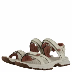 Cedrus Convert Brich/burlwood