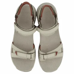 Cedrus Convert Brich/burlwood