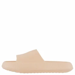 Chunky Slipper Coral