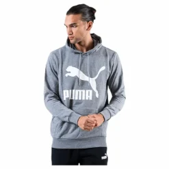 Classics Logo Hoody TR Grey