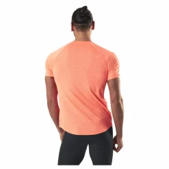 Court Rafa Slam Green/Yellow