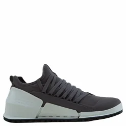 Ecco Biom 2.0 W Gravity/gravity