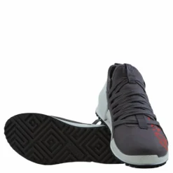 Ecco Biom 2.0 W Gravity/gravity