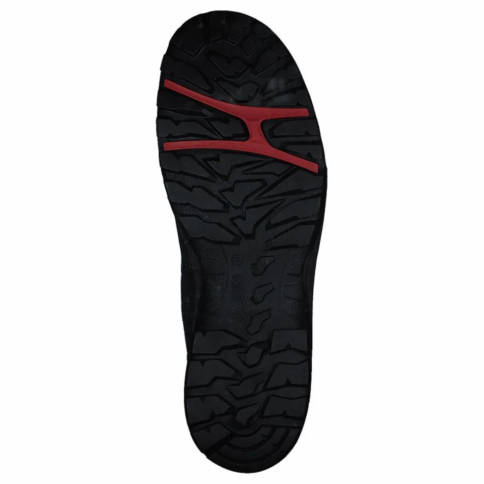 Ecco Xpedition Iii W Black/black