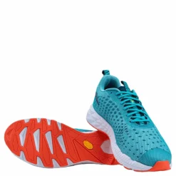 Greyhound Blue/White