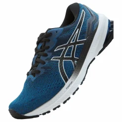 Gt-1000 11 Lake Drive/black