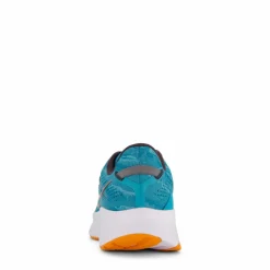 Guide 16 Agave/marigold