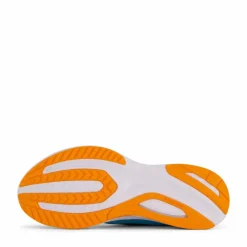 Guide 16 Agave/marigold