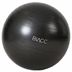 Gym ball 65cm Black