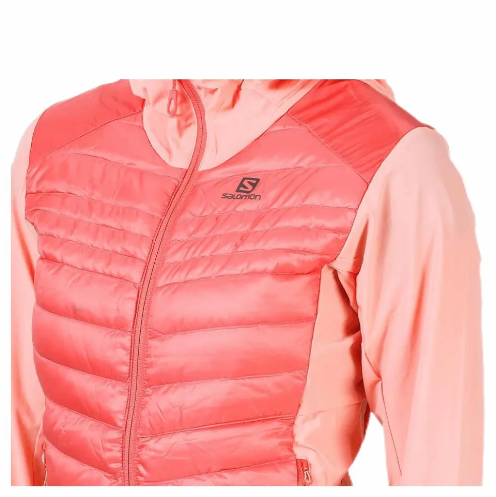 Haloes Down Hybrid Hoodie Pink