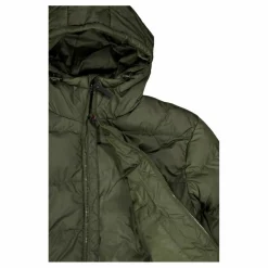 Lane Reg Lo Pe Vin M Otw Forest Night