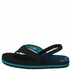 Little Ahi Aqua Palms