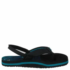 Little Ahi Aqua Palms