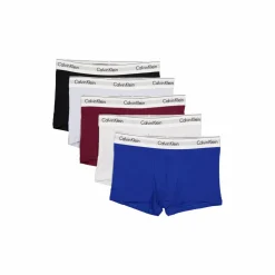 Modern Cs Holiday Trunk 5pk Multi