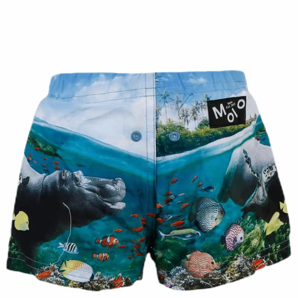 Newton Swim Diaper Blue