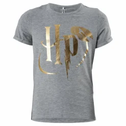 Nkfharrypotter Axa Ss Top Wab Grey Melange