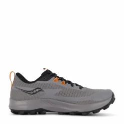 Peregrine 13 Gtx Gravel/black