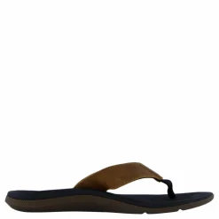 Santa Ana Le Black And Tan