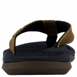 Santa Ana Le Black And Tan