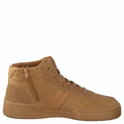 T2200 Mid Tnl K Ochra