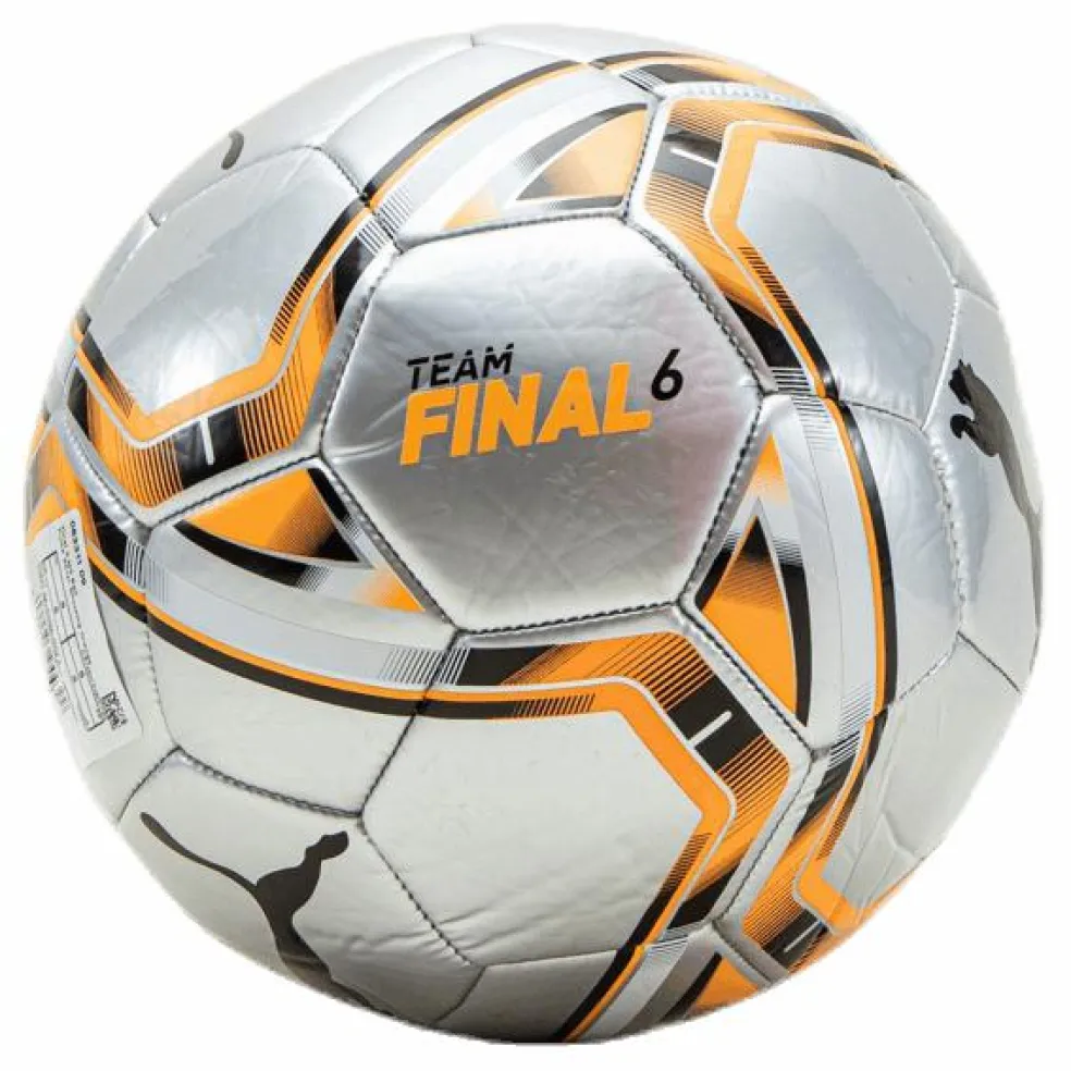 teamFINAL 21.6 MS Ball Silver