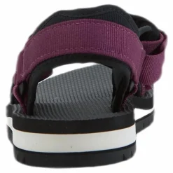 Universal Trail Purple