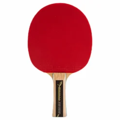 Waldner 500 Patterned