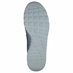 Wmns Air Max Thea Prm Lea Mtlc Platinum/Pure Platinum